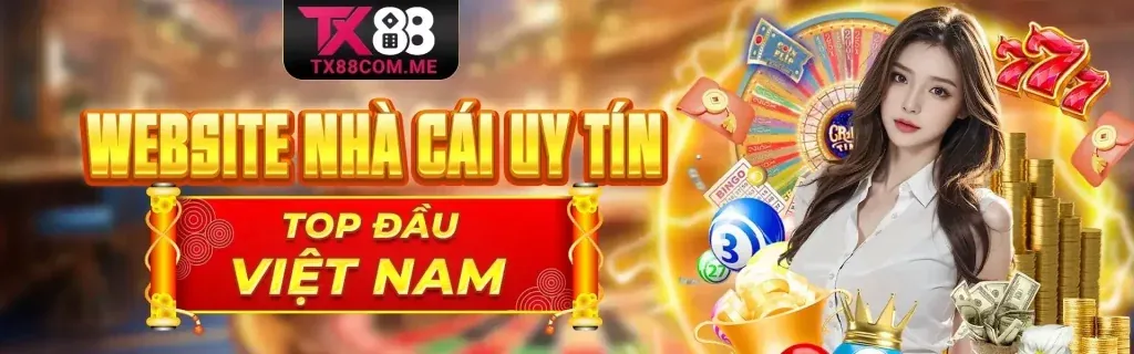 Hình ảnh minh họa cài đặt quản lý cookie trên trình duyệt.